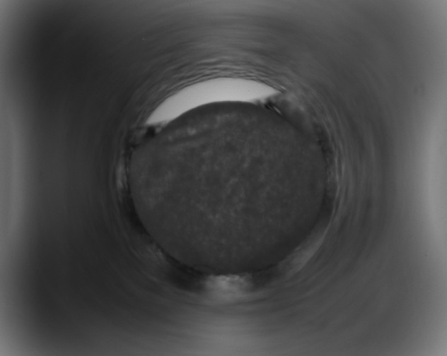 X0000087750137200705291041