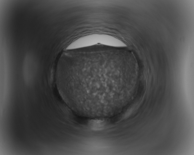 X0000087750139200705291041