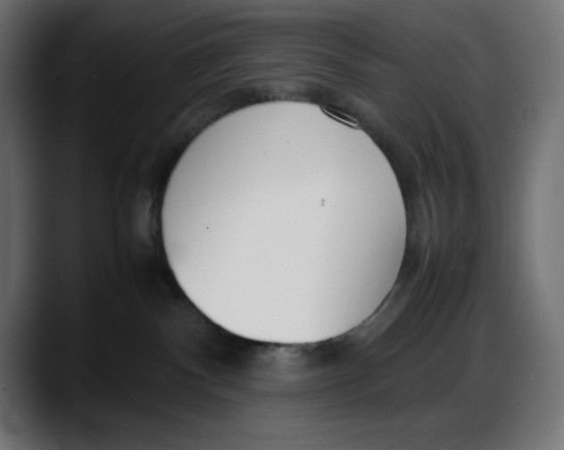 X0000087750140200705291041