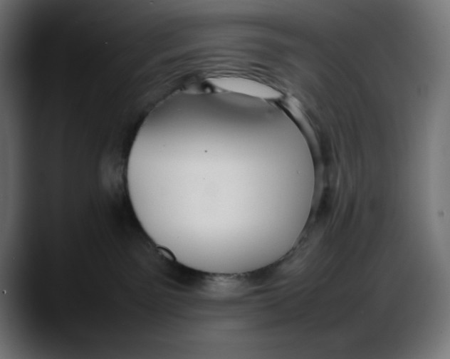 X0000087750141200705291041