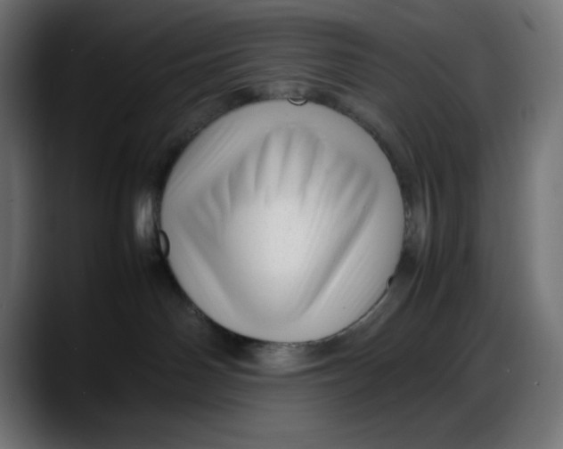 X0000087750142200705291041