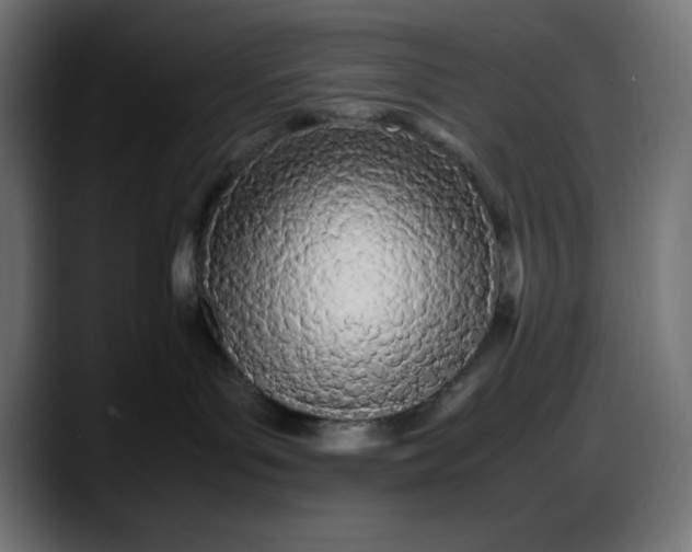 X0000087750143200705291041