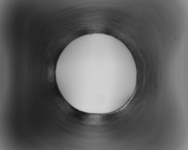 X0000087750144200705291041