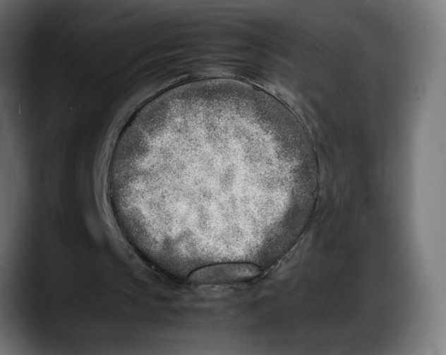 X0000087750145200705291040