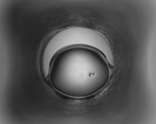 X0000087750149200705291040