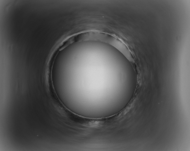 X0000087750152200705291040