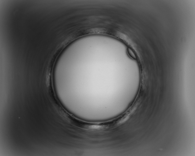 X0000087750153200705291040