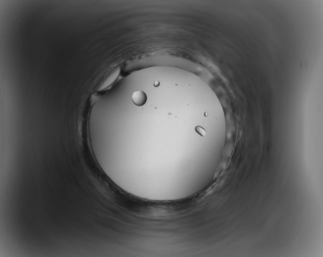 X0000087750154200705291040