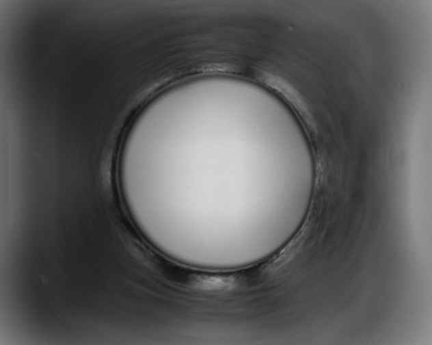 X0000087750155200705291040