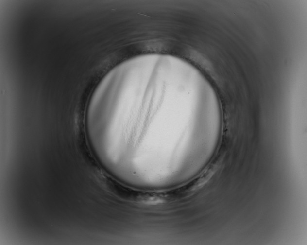 X0000087750161200705291041