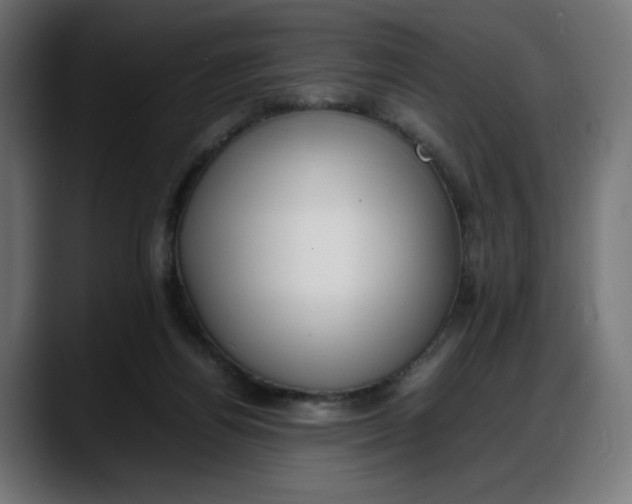 X0000087750164200705291041