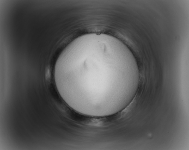 X0000087750166200705291041