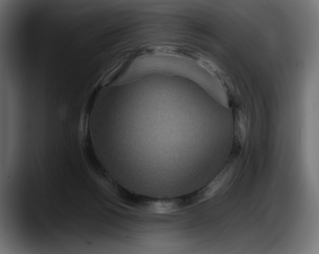 X0000087750168200705291041