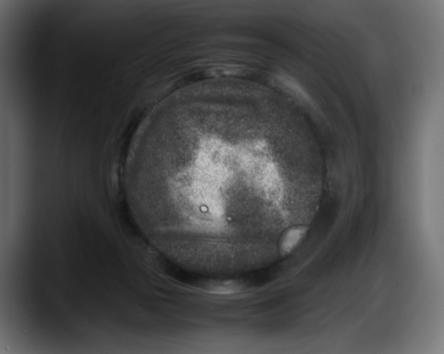 X0000087750169200705291041