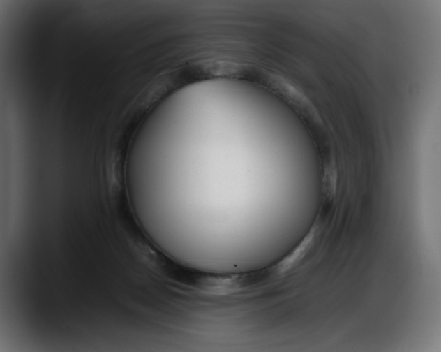 X0000087750170200705291041