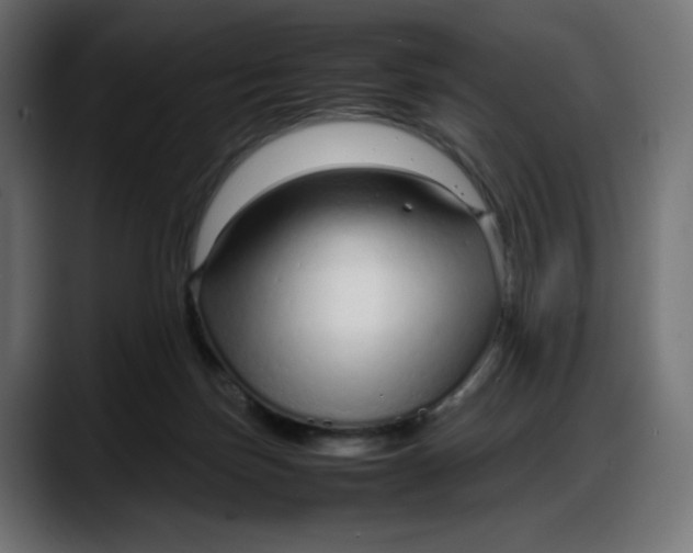 X0000087750171200705291041