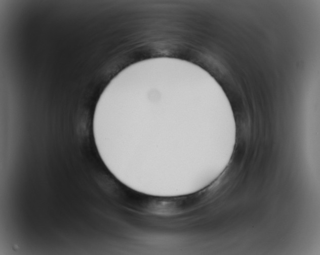 X0000087750174200705291041