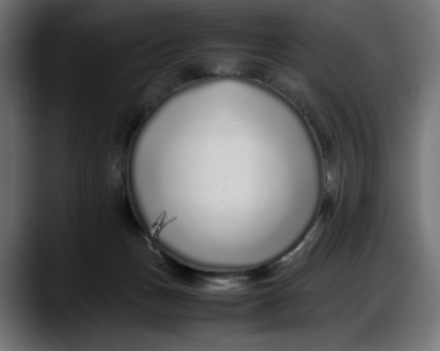 X0000087750175200705291041