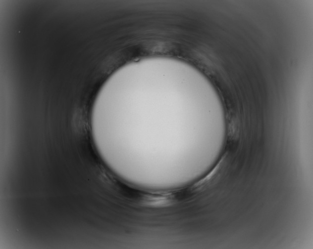 X0000087750179200705291041