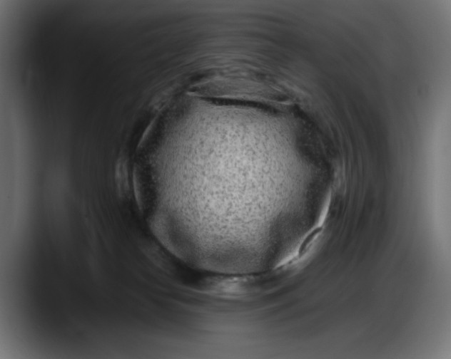 X0000087750182200705291041