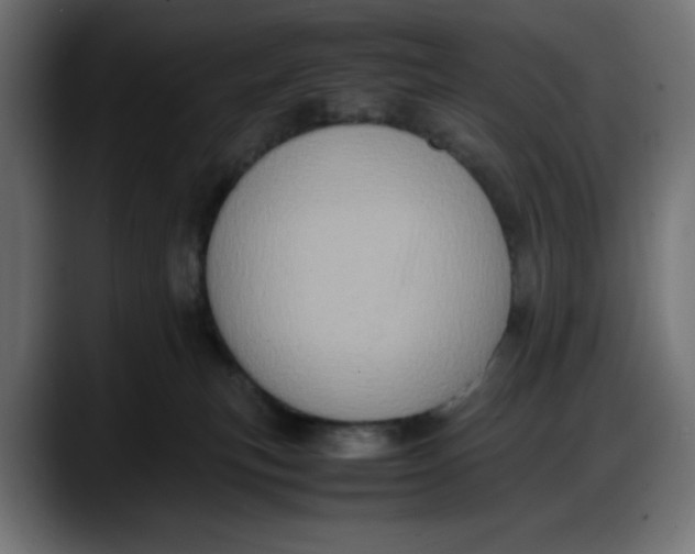 X0000087750183200705291041