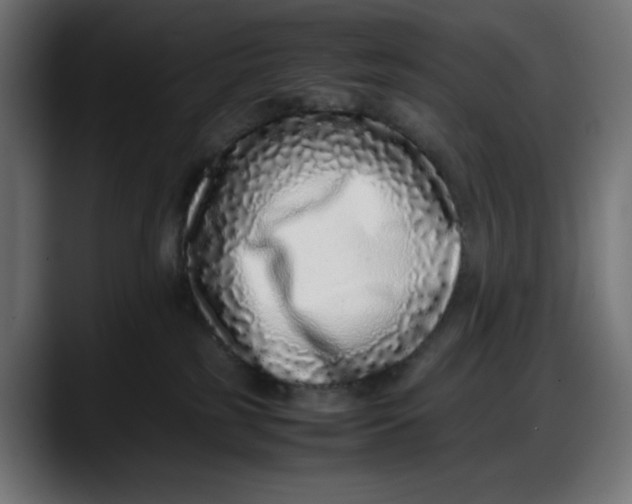 X0000087750185200705291041