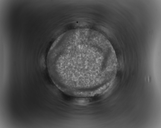 X0000087750187200705291041