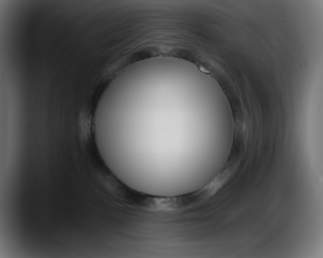 X0000087750188200705291041