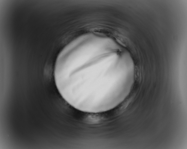 X0000087750189200705291041