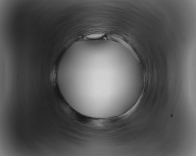 X0000087750190200705291041