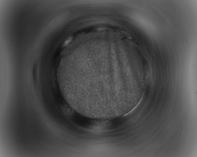 X0000087750191200705291041