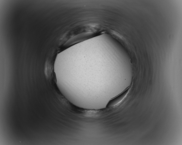 X0000087750192200705291041