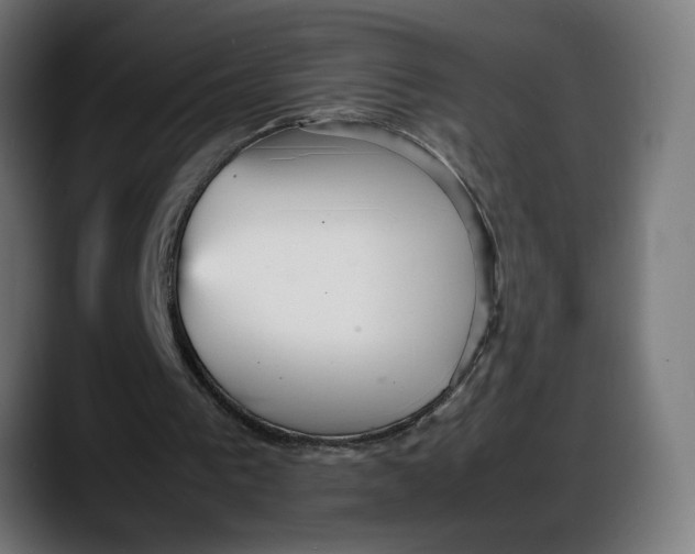 X0000087750193200705291040