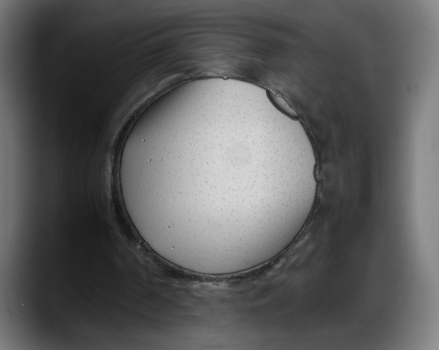 X0000087750194200705291040