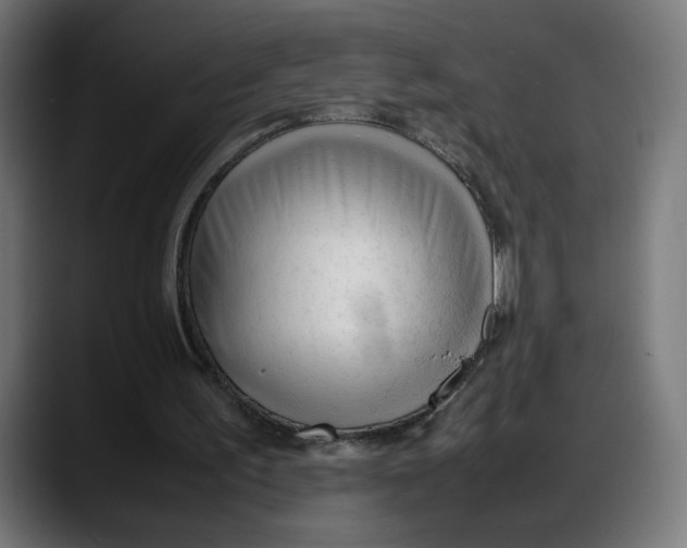 X0000087750195200705291040