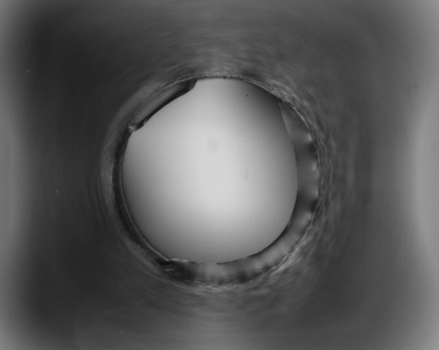 X0000087750197200705291040