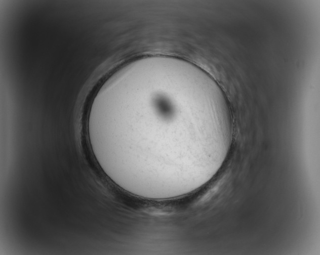 X0000087750199200705291040