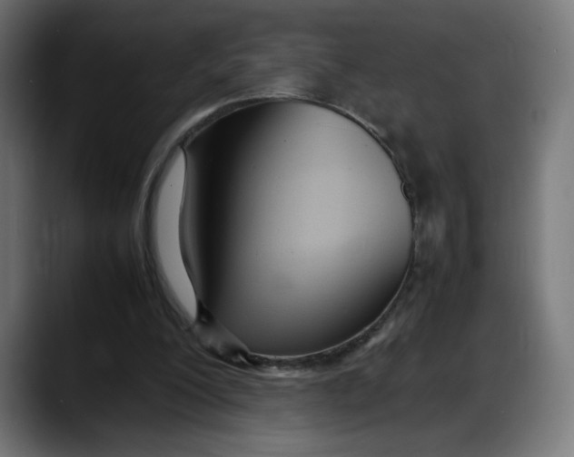 X0000087750200200705291040