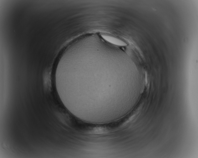 X0000087750204200705291040