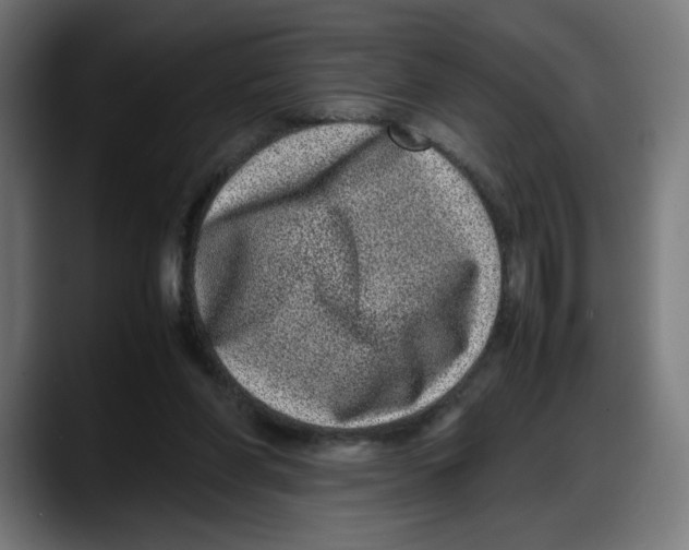 X0000087750206200705291040