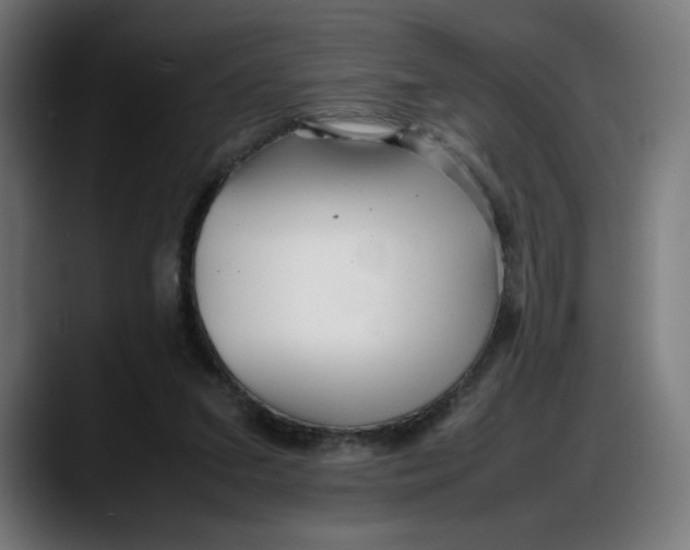 X0000087750207200705291040