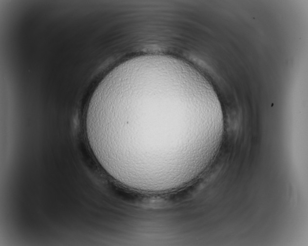 X0000087750208200705291040