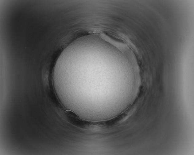 X0000087750209200705291040