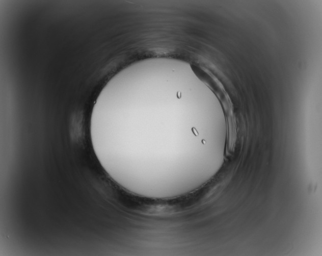 X0000087750212200705291040