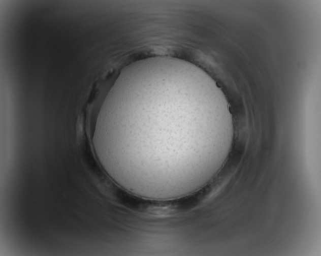 X0000087750213200705291040