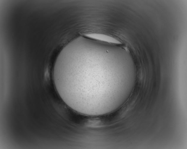 X0000087750214200705291040