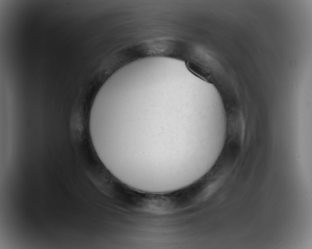 X0000087750215200705291040