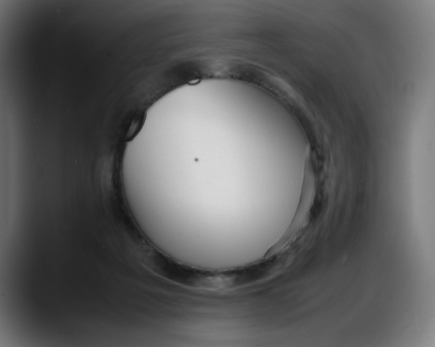 X0000087750217200705291040