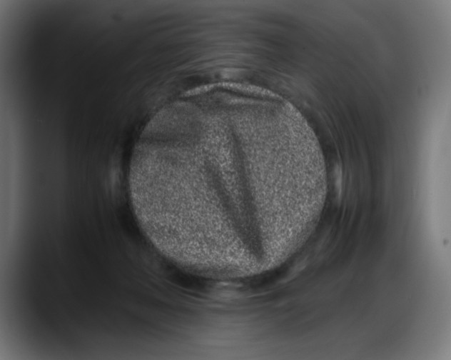 X0000087750222200705291040