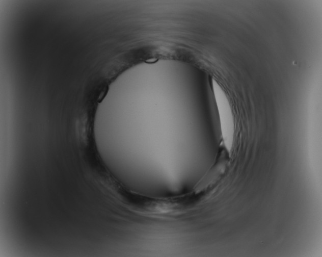 X0000087750223200705291040